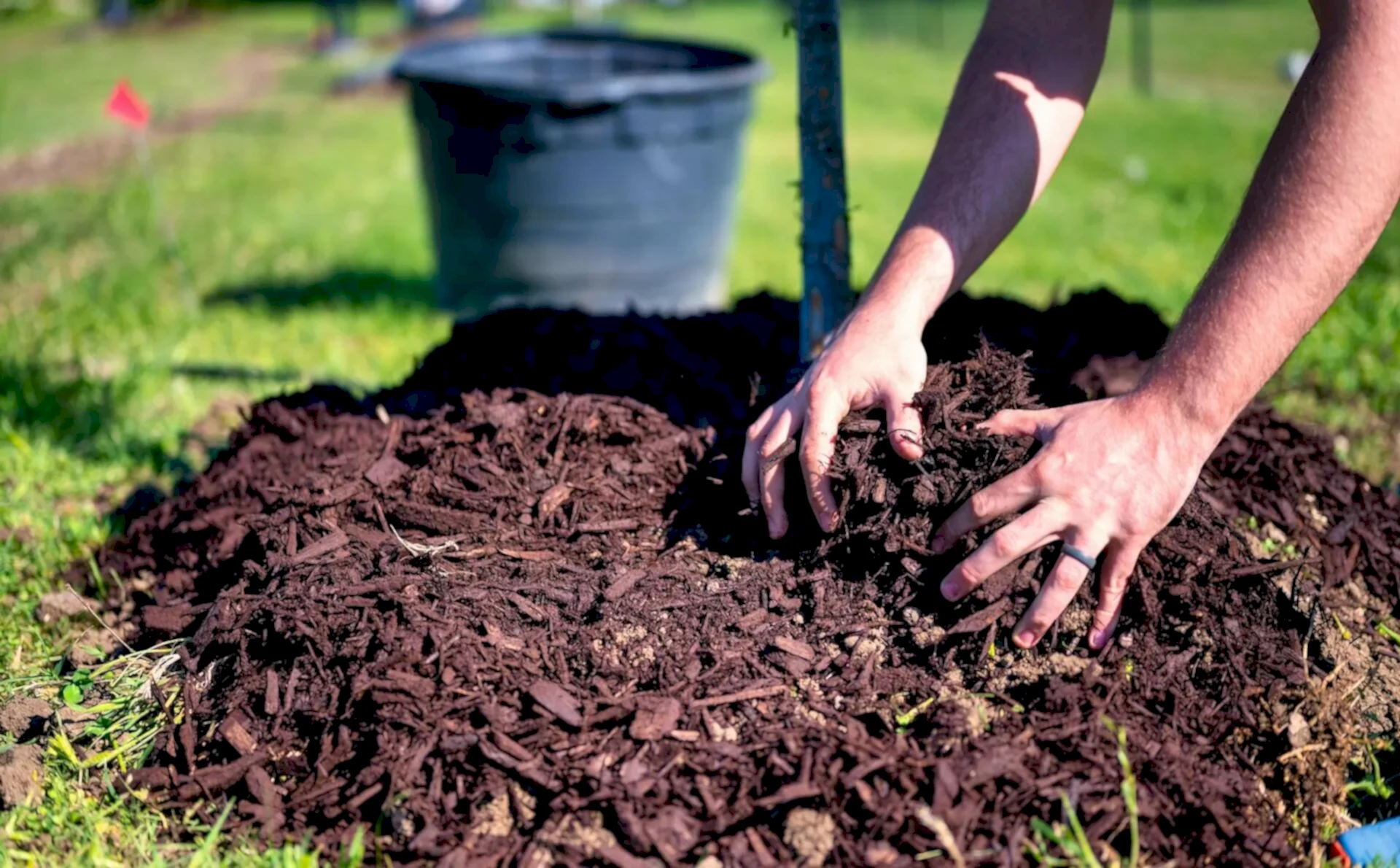 Mulching Cropped