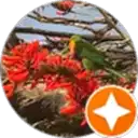 A. E. profile picture